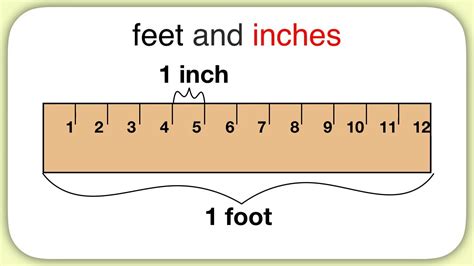 Uses of Inches and Feet